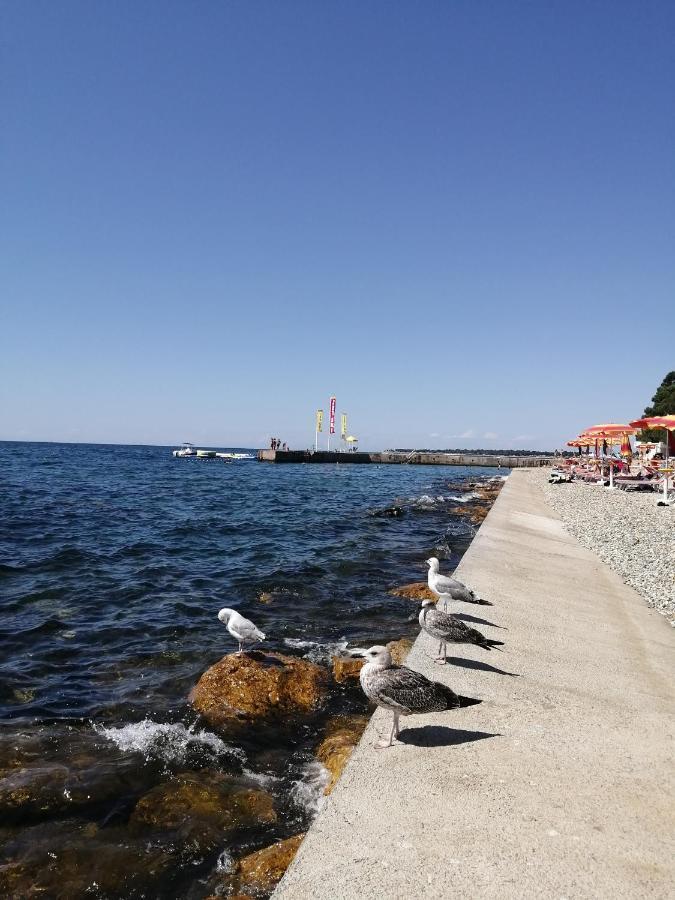 Apartments Sven-Marino Porec Bagian luar foto